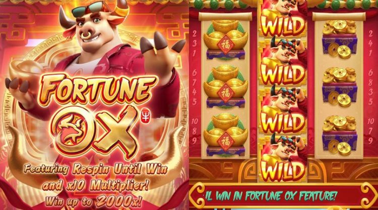 fortune ox apk